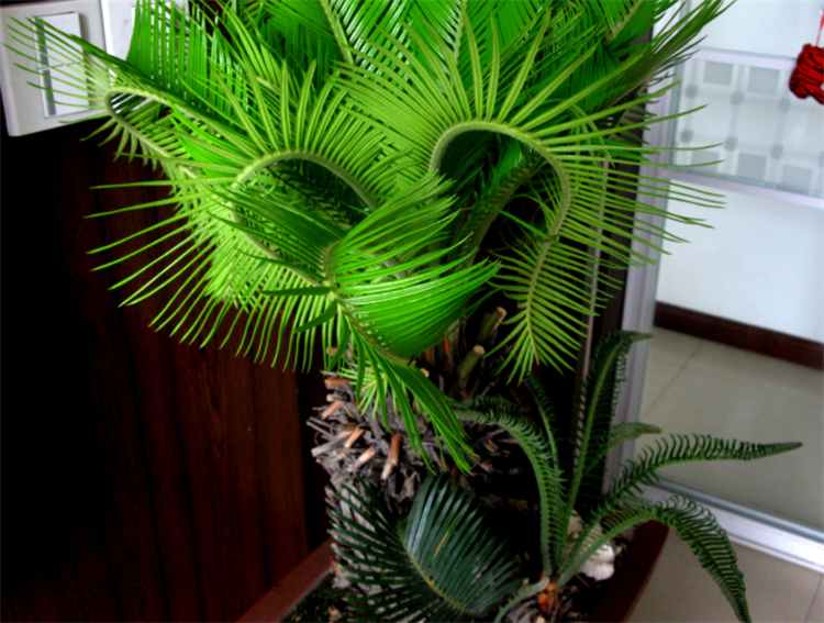 净化空气吸甲醛最好的植物有哪些,除了绿萝还有什么植物去甲醛