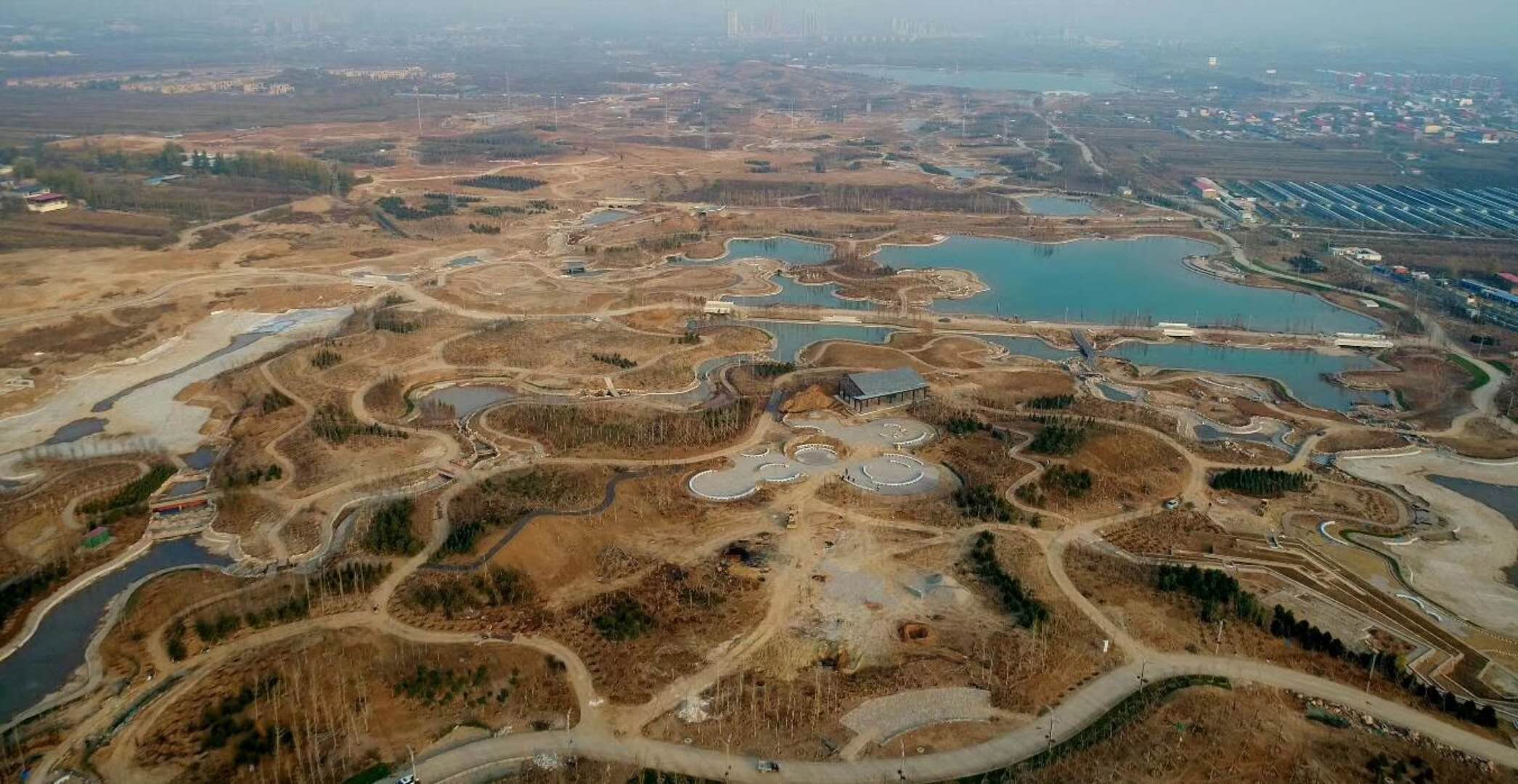 *疆新**男子沙漠5亩池塘养澳洲淡水虾，个头比手掌大，亩利润达万元