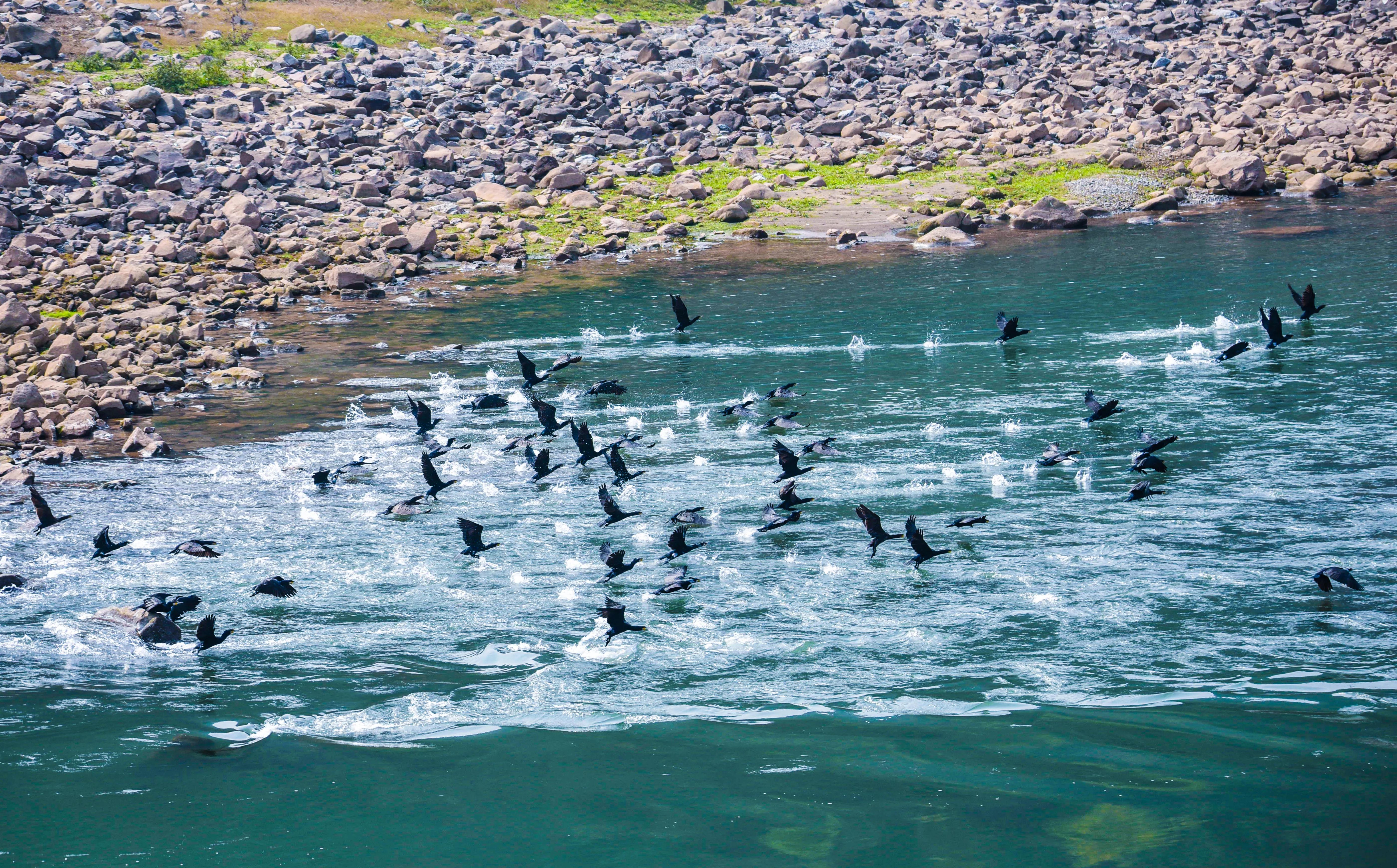 贵州大学1984级管科系同学欢聚毕节录