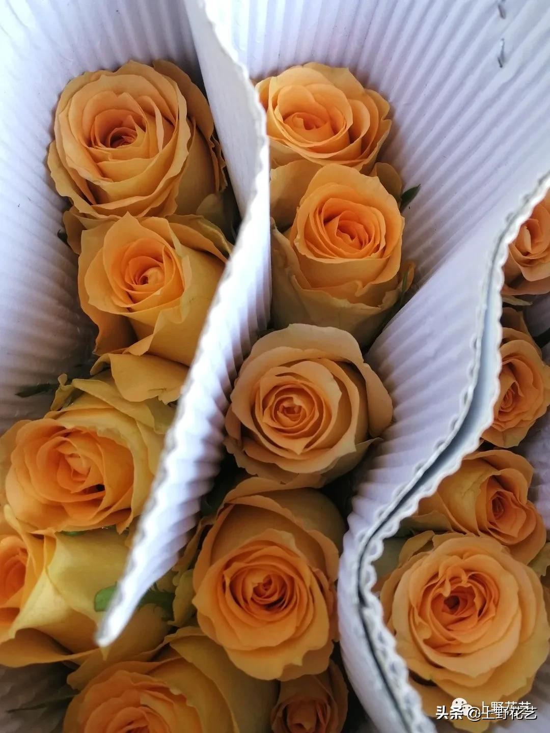 假日公主玫瑰花束,100种玫瑰之歌视频