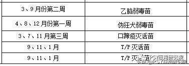 猪场日常预防免疫程序,猪场免疫注射的注意事项