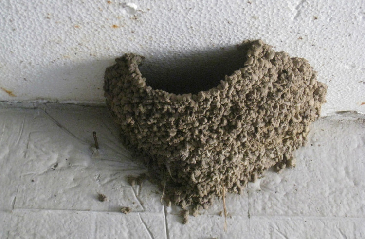 玻璃钢什么原理,玻璃钢最新工艺