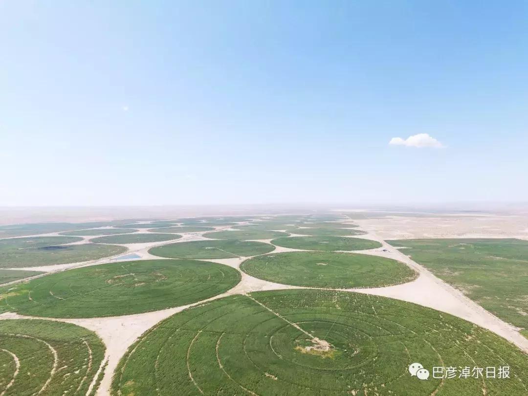 放心喝的牛奶,什么是圣牧有机奶