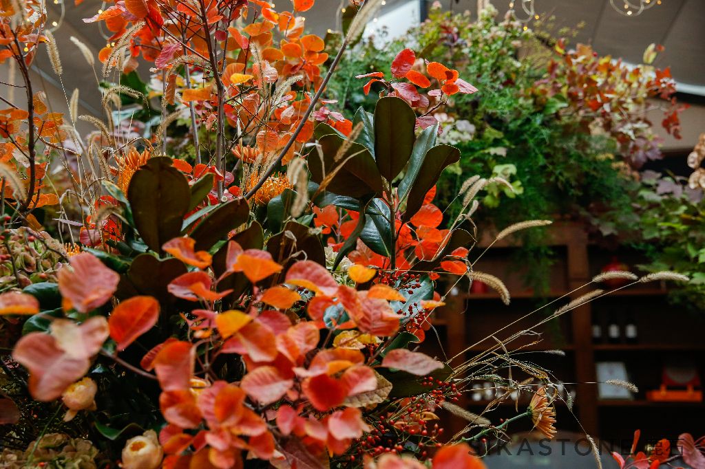 香山漫步美景,香山四季景色