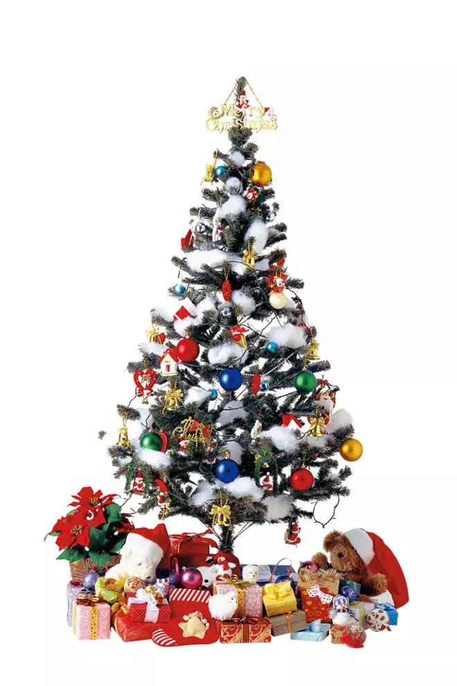 圣诞树是什么树,圣诞树在中国叫什么