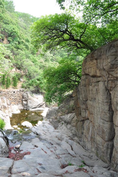 山东有哪些名小吃,山东淄博地区名吃