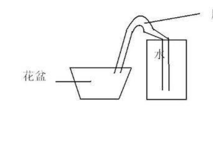 长期不在家家里花草怎么浇水,出门半年家里的花草怎么浇水