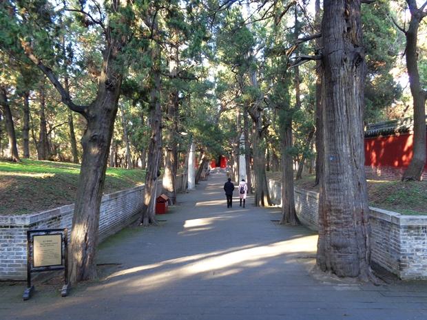 孔林是最大的氏族墓地吗,孔林各个时代的墓葬