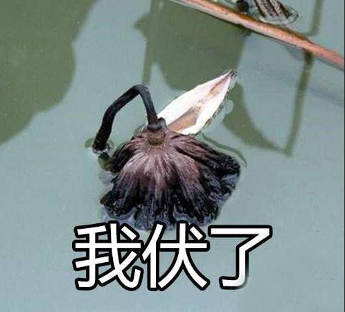 许家印120亿打造莲花形足球场,许家印恒大足球专业足球场