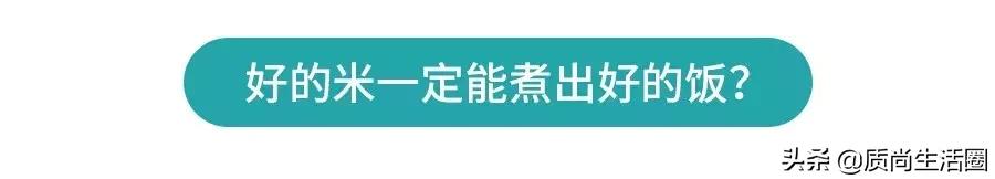 小米电饭煲哪一款煮饭速度快,电饭锅测评迷你