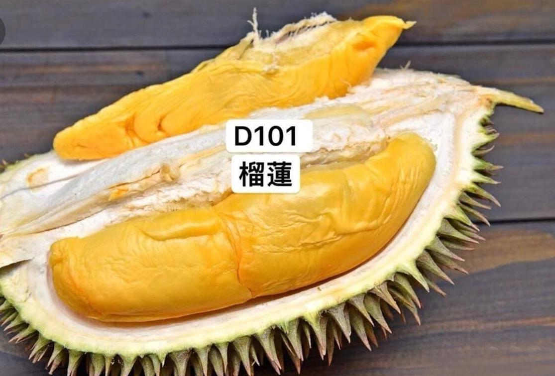 榴莲是不是热带水果之王,热带水果榴莲视频