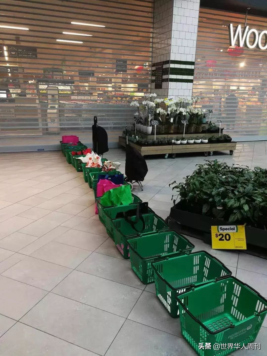 澳洲奶粉为什么不涨,国内卖的澳洲奶粉