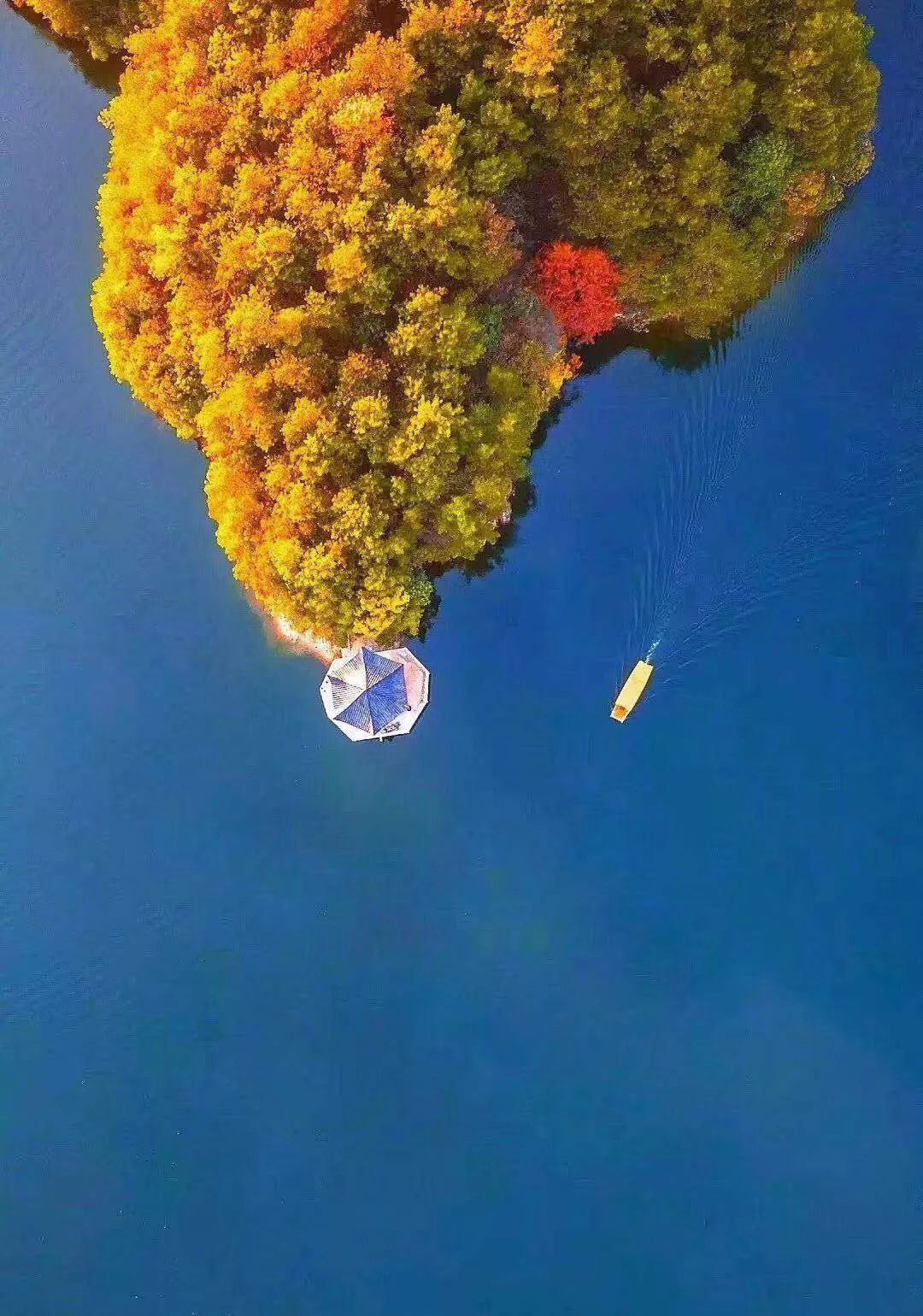 清凉寨丨“枫”景尚好,年会火热预定中!