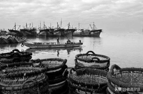 今日北塘海鲜,北塘海鲜扬帆起航