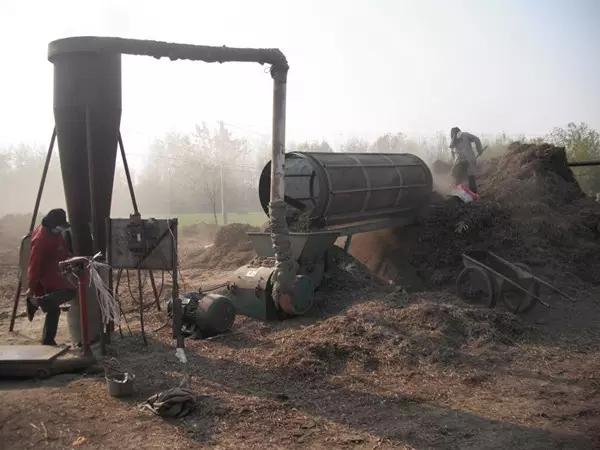 花生秧喂牛羊有什么好处？