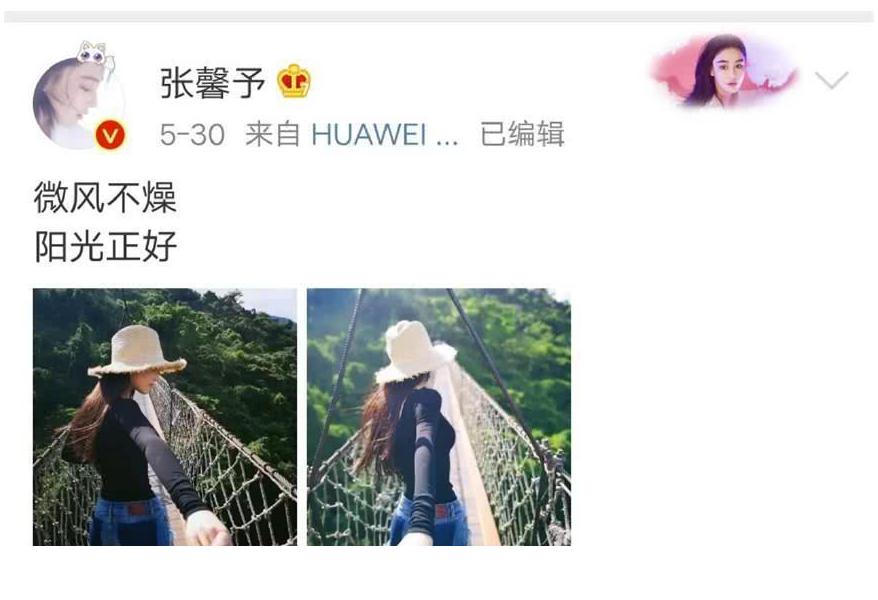 张馨予个人资料何捷,张馨予何捷婚姻现状最新消息