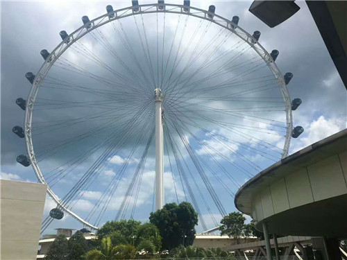 留学生去新加坡行李重量规定,新加坡留学生出国须知及行李清单