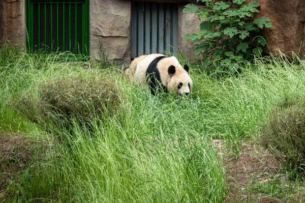 江浙沪自驾游亲子乐园推荐,江浙国内小众海岛亲子游