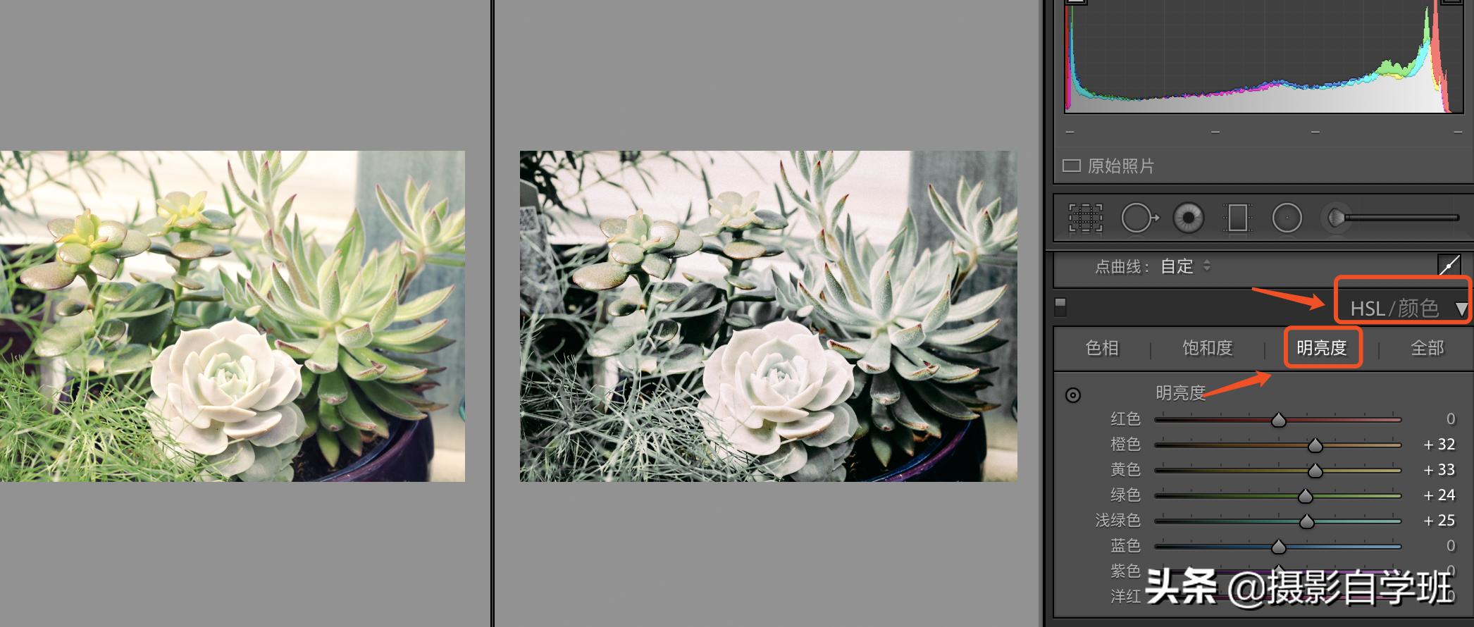 灰色显高级发色,高级灰风格照片的特点和调色方法