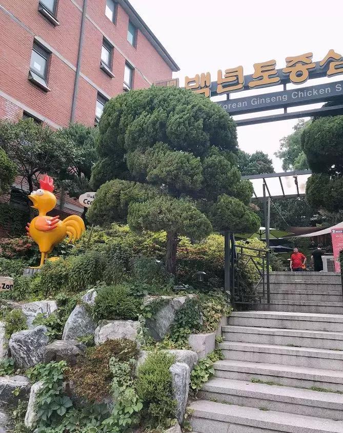 来首尔必去的地方,首尔必去的10个店