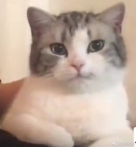 什么眼霜最好用去眼纹,眼部用什么眼霜比较好