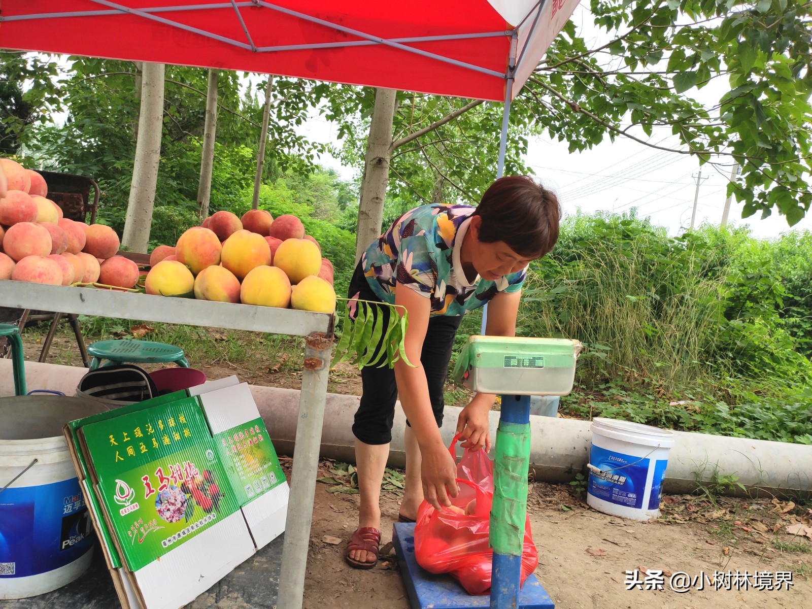 卖水果电子秤怎么作假,卖水果大爷用鬼秤遭怒斥