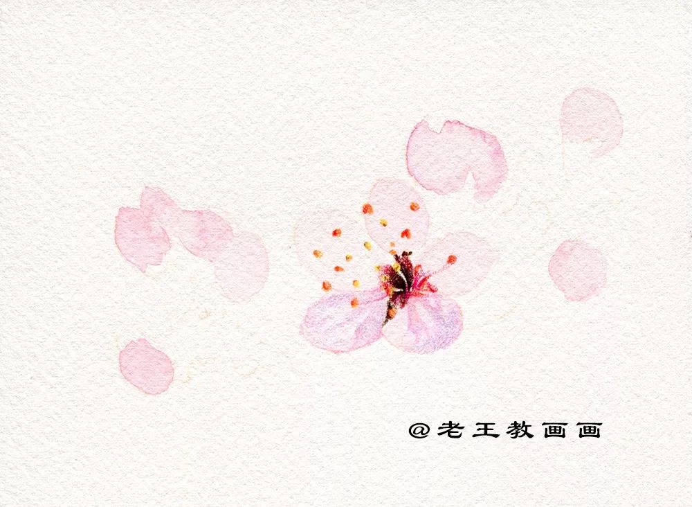 崔老师教你画桃花,你想画的花卉手稿都在这里