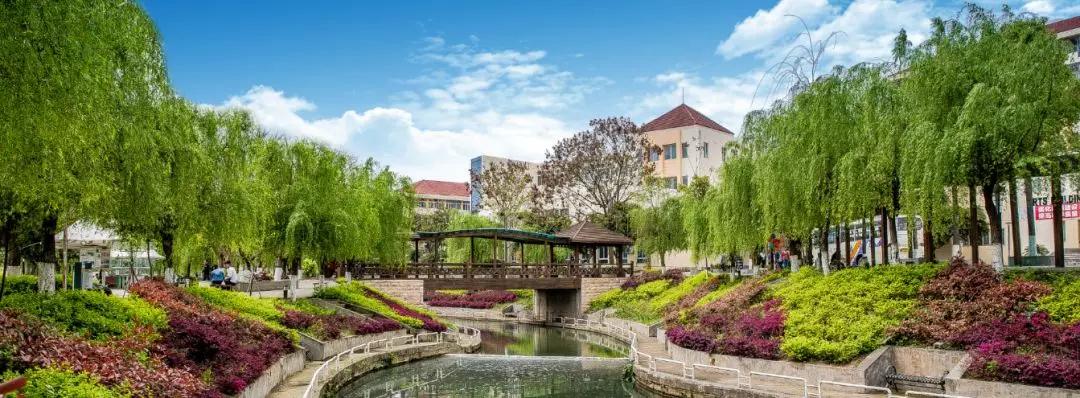 绵阳西南科技大学单招吗,绵阳城市学院单招专业