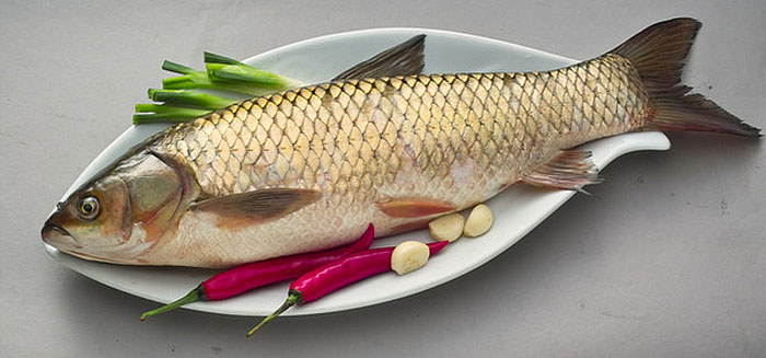 读《鱼丽》|诗经请你吃鱼，吃货能吃出3种诗意