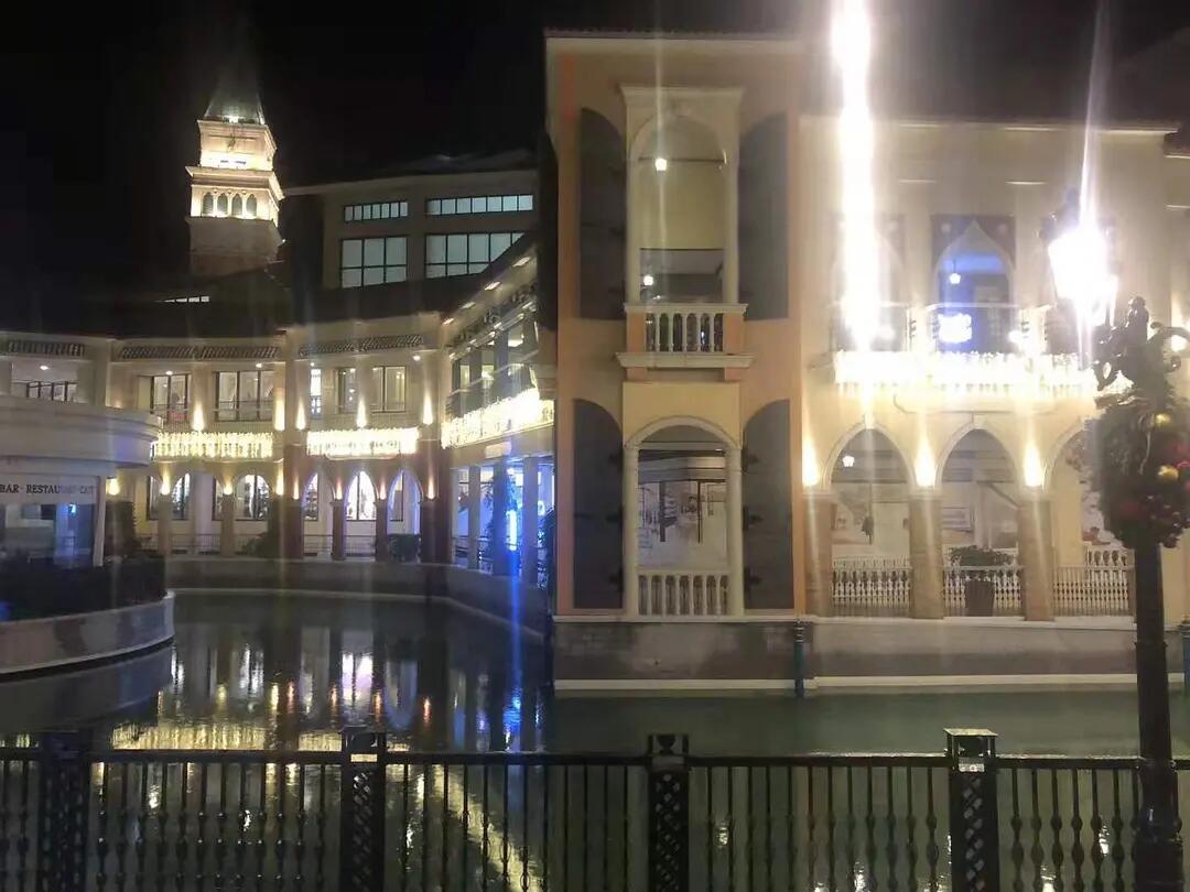 单身狗吃饭旅游走走停停 (单身狗吃饭旅行走走停停)