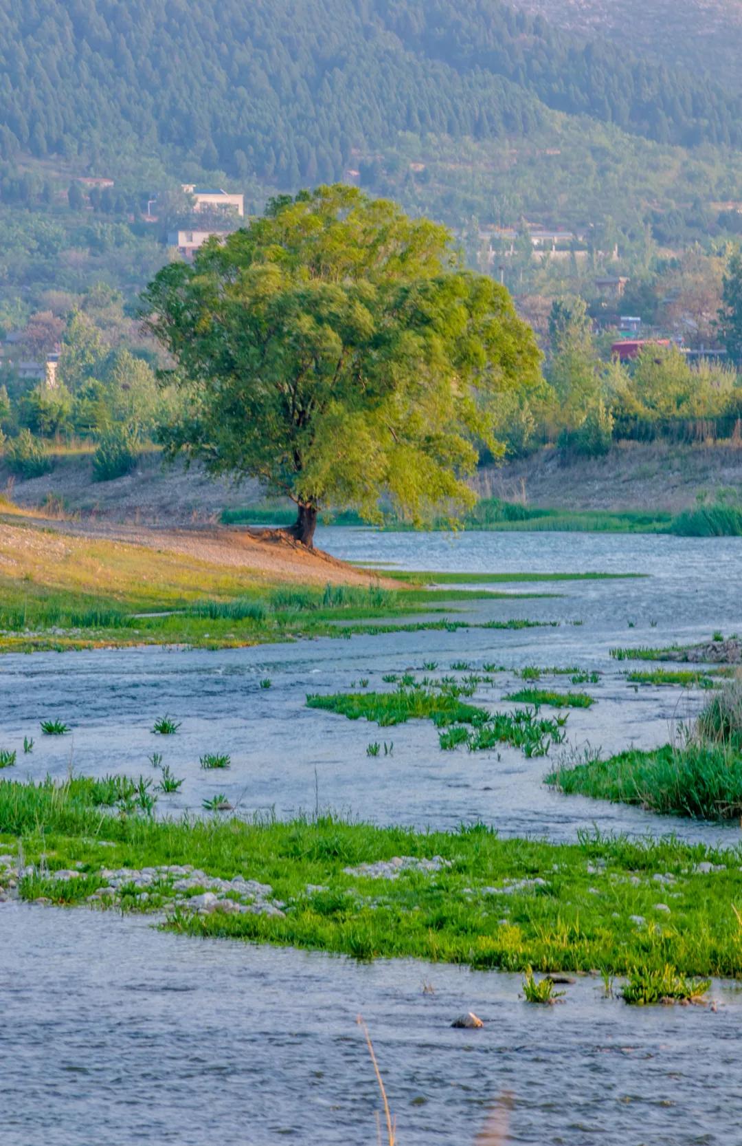 济南湿地公园值得去吗,济南湿地公园旅游攻略