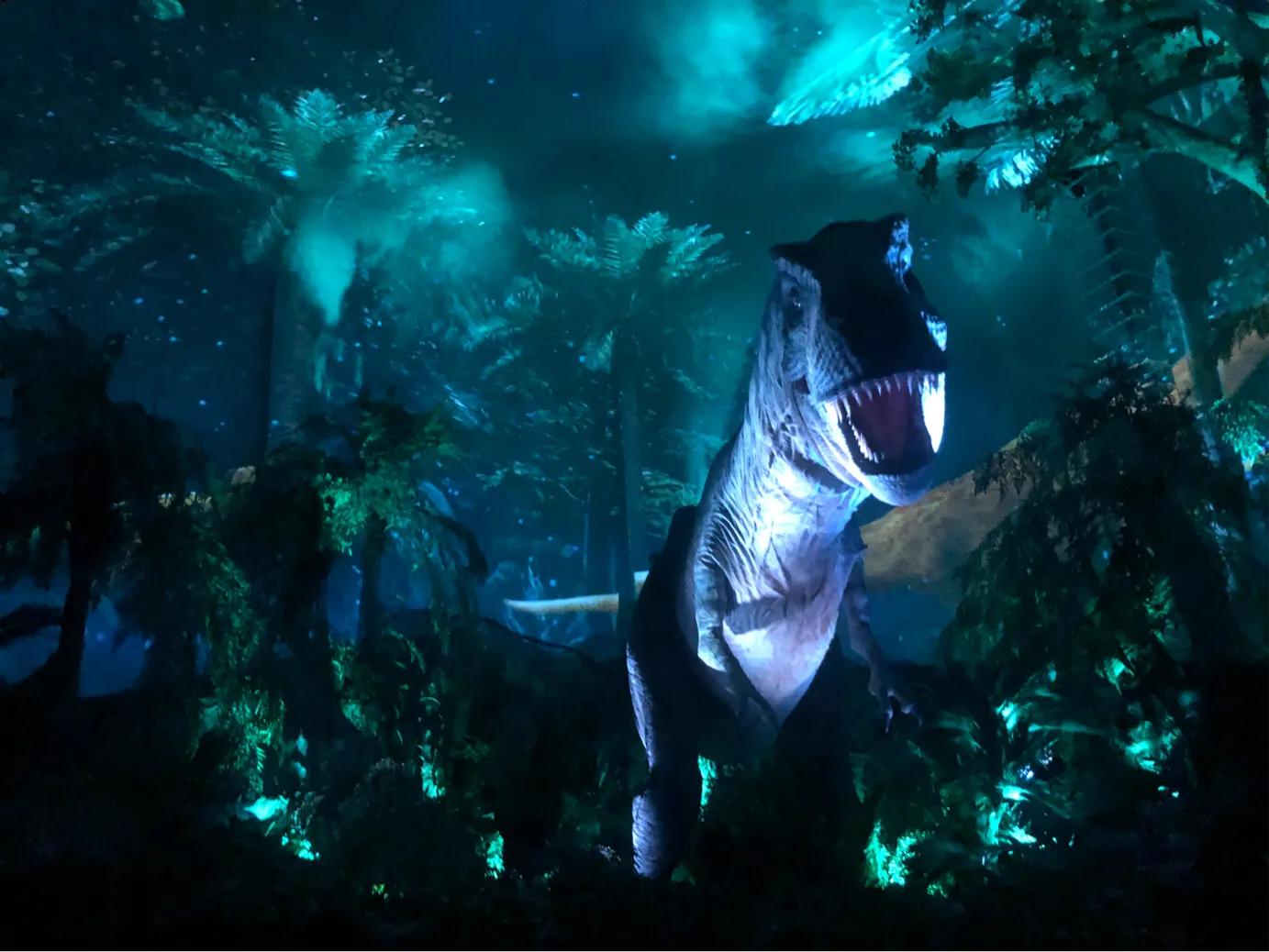 暑期广州长隆野生动物世界门票,长隆海洋王国和野生动物园门票