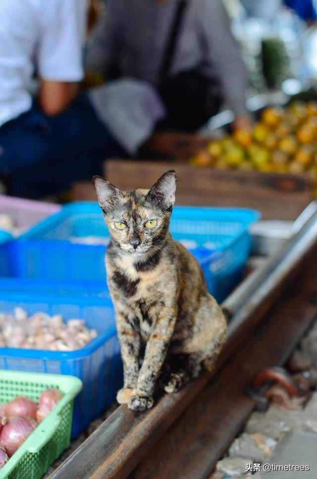 泰国地铁线路热门景点,泰国轨道沿线景点