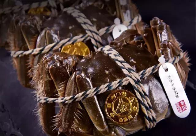 一只坚持四项基本原则的好蟹