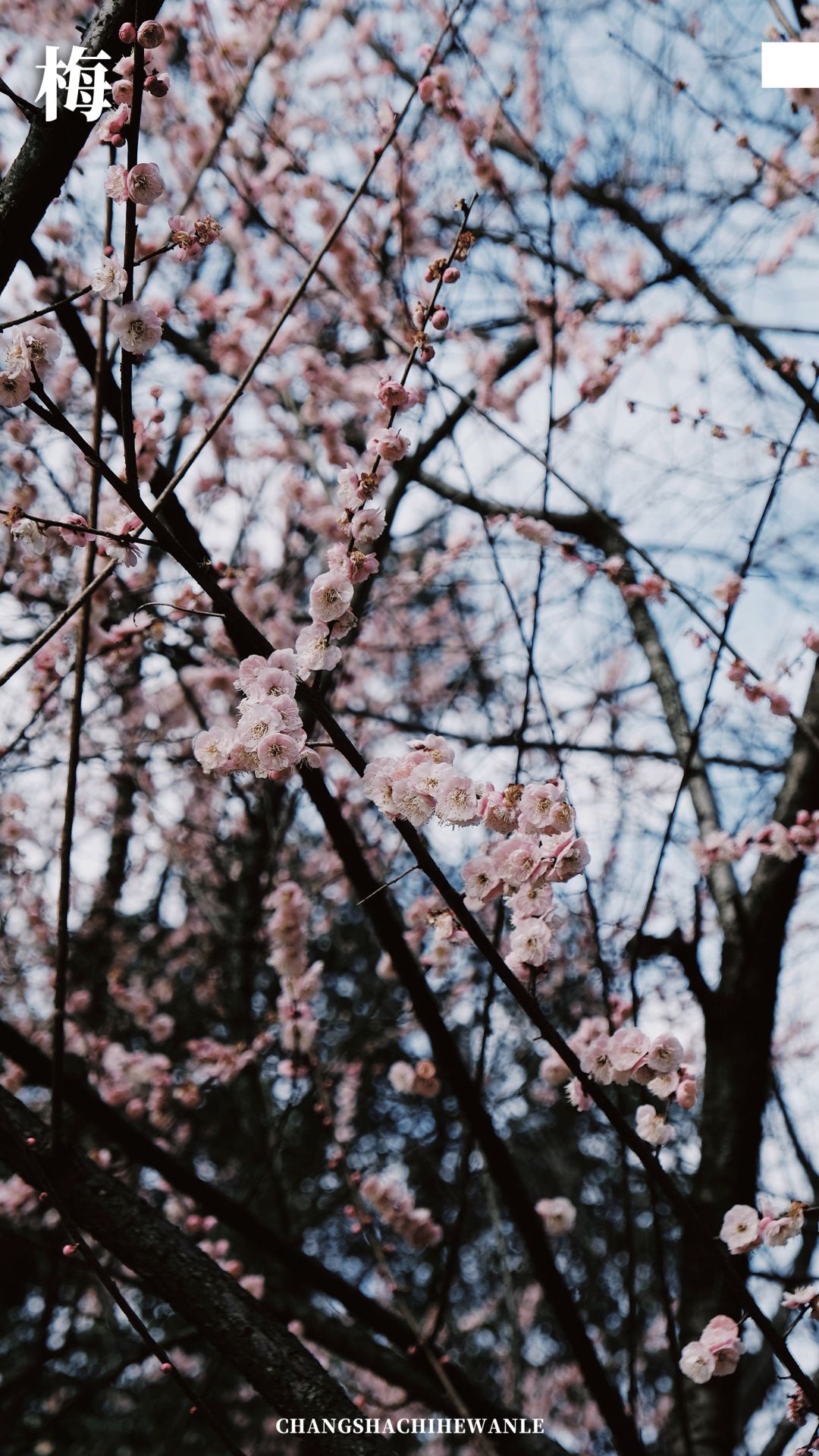 带你在长沙感受一场如梦如幻,带你看看真正的长沙