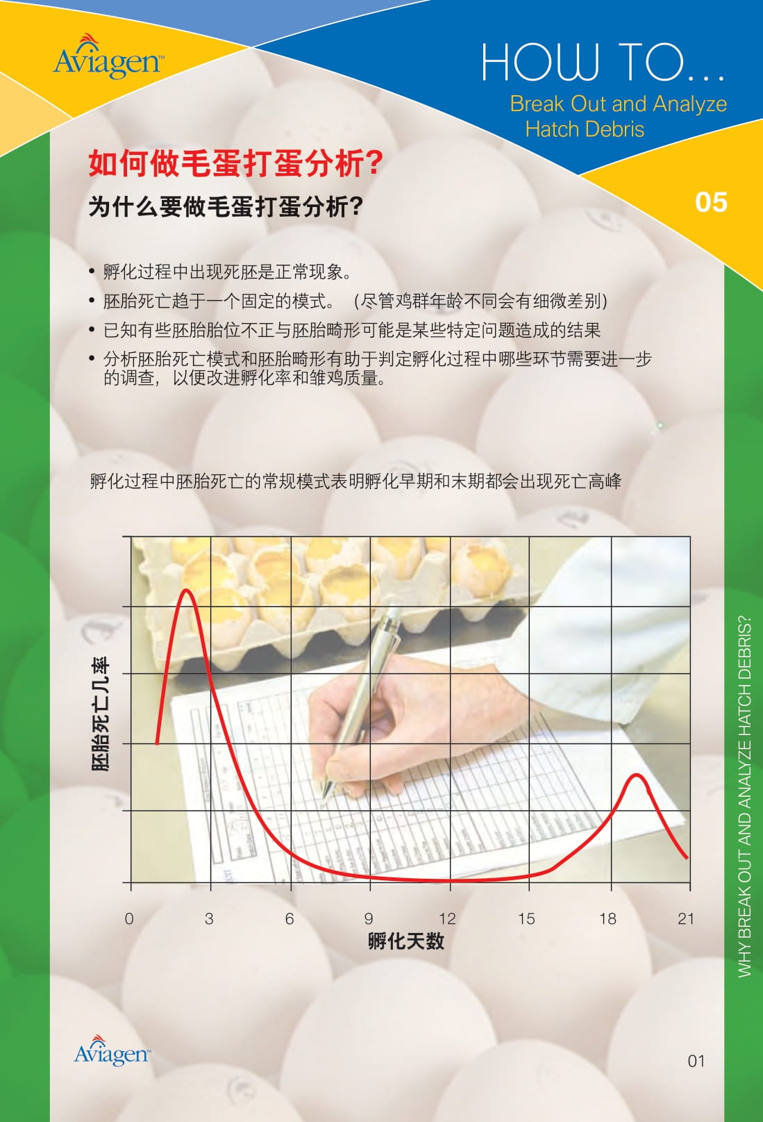 毛蛋做实蛋方法,打蛋怎么做又滑又嫩没气泡