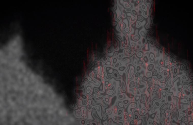 多罗罗结局百鬼丸干嘛去了,多罗罗百鬼丸找到了吗