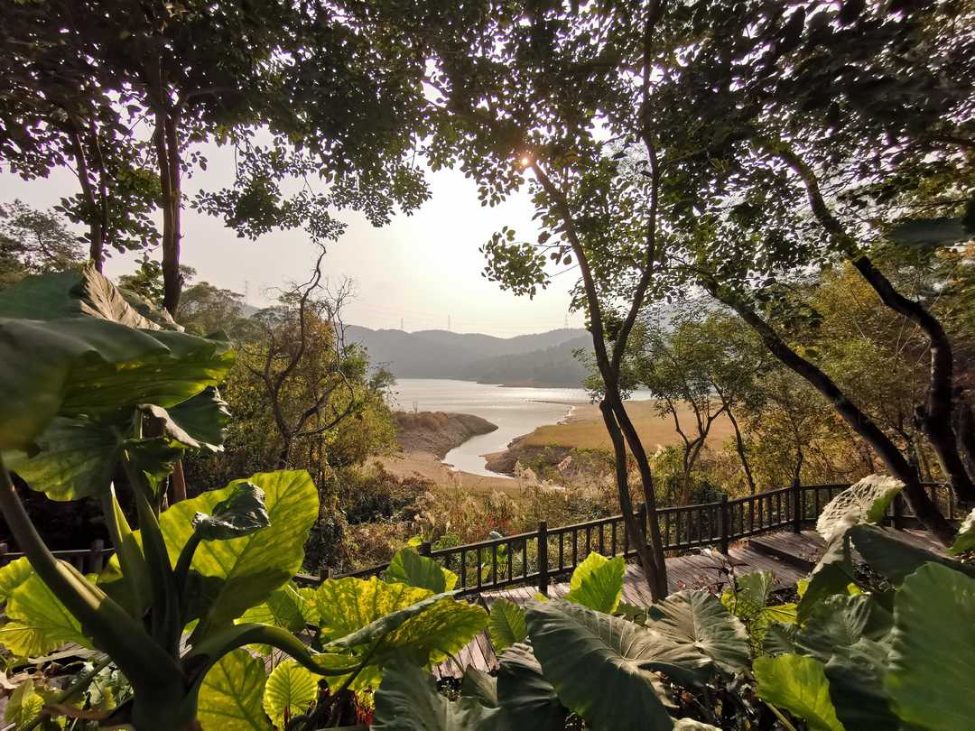 厦门市天竺山一日游,厦门天竺山攻略