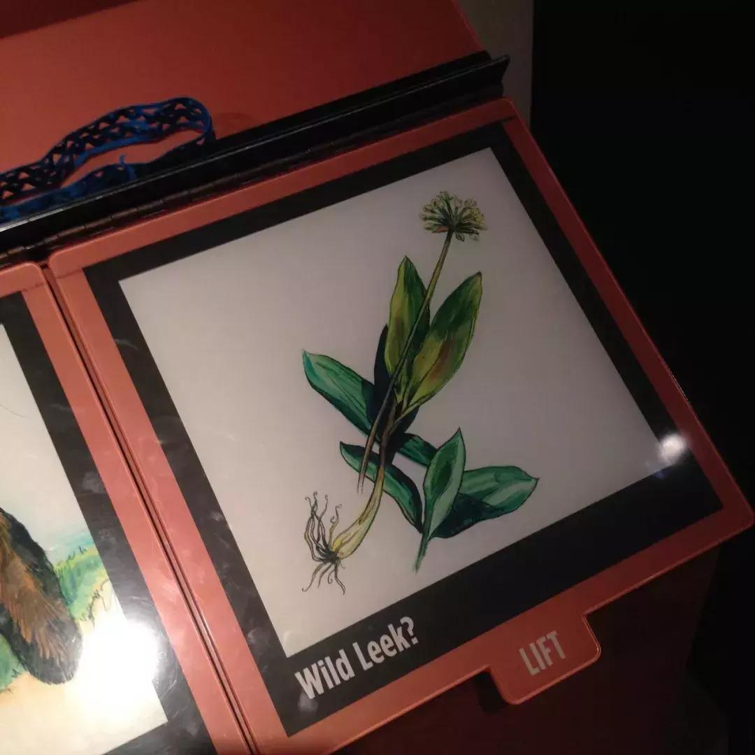 TinyTRIPS|过期游记六:大哥谭-Chicago芝加哥