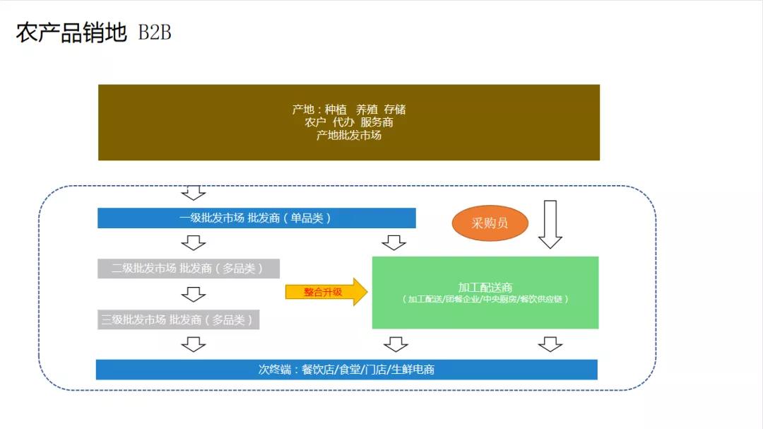 观麦杨威是哪里人,观麦董事长
