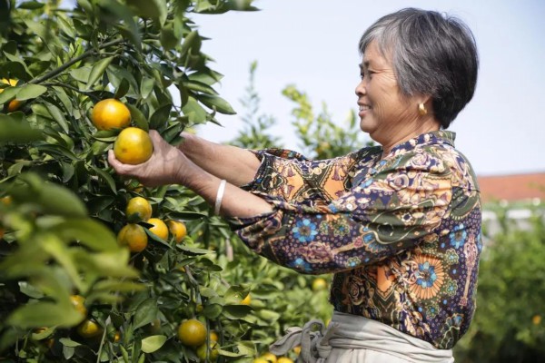 2018十大感人瞬间感谢你,谢谢2018完整视频