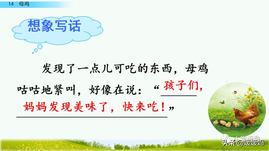 四年级下册第13课小练笔仿写母鸡,四年级下册14课母鸡的预习完整版