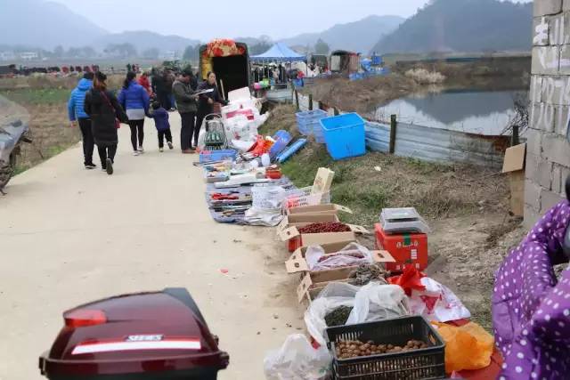 我的家乡被遗忘,我的家乡曾经也很美丽