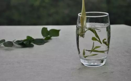 哪些茶有钱也买不到,这3款茶有钱都喝不到