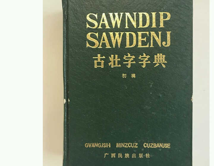 壮族人有自己的文字吗,壮族有自己独特的文字和语言