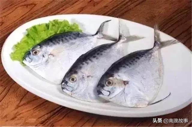 南澳渔民出海最常见的50种海鱼，都吃过，你就能退休了！