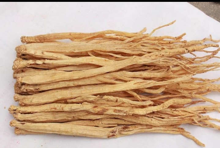 伤寒论里面的人参是什么人参,八珍汤里的人参是什么参