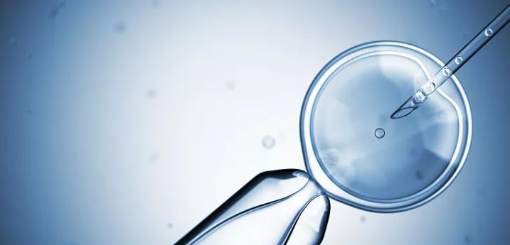 鑻卞浗濂冲瓙缃戜笂璐拱閽堢瓛,閽堢瓛浜哄伐鎺堢簿