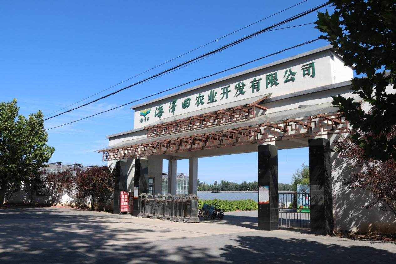 廊坊第二十四届农产品展销会,2024廊坊食品展览会