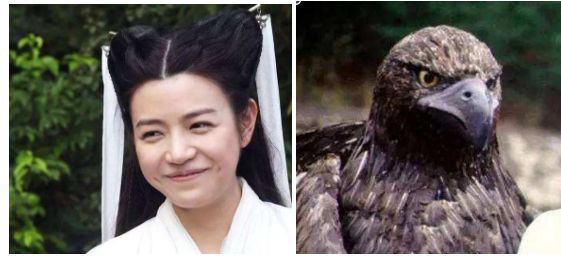 双十一你最值得拥有的东西,双十一套路太多还能买吗